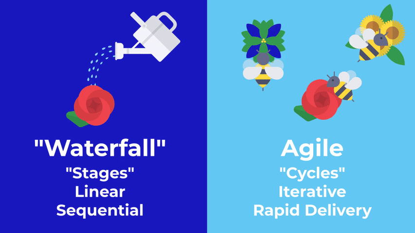 GIF: A watering can waters a red rose, subtext: Waterfall > Stages, Linear, Sequential. On the right are bees tending to different flowers. Subtitle: Agile > Cycles, Iterative, Rapid Delivery