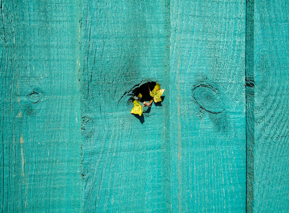 Featured Image