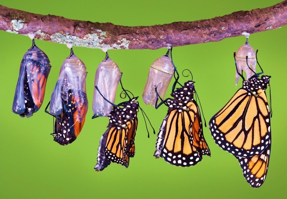 Featured Image