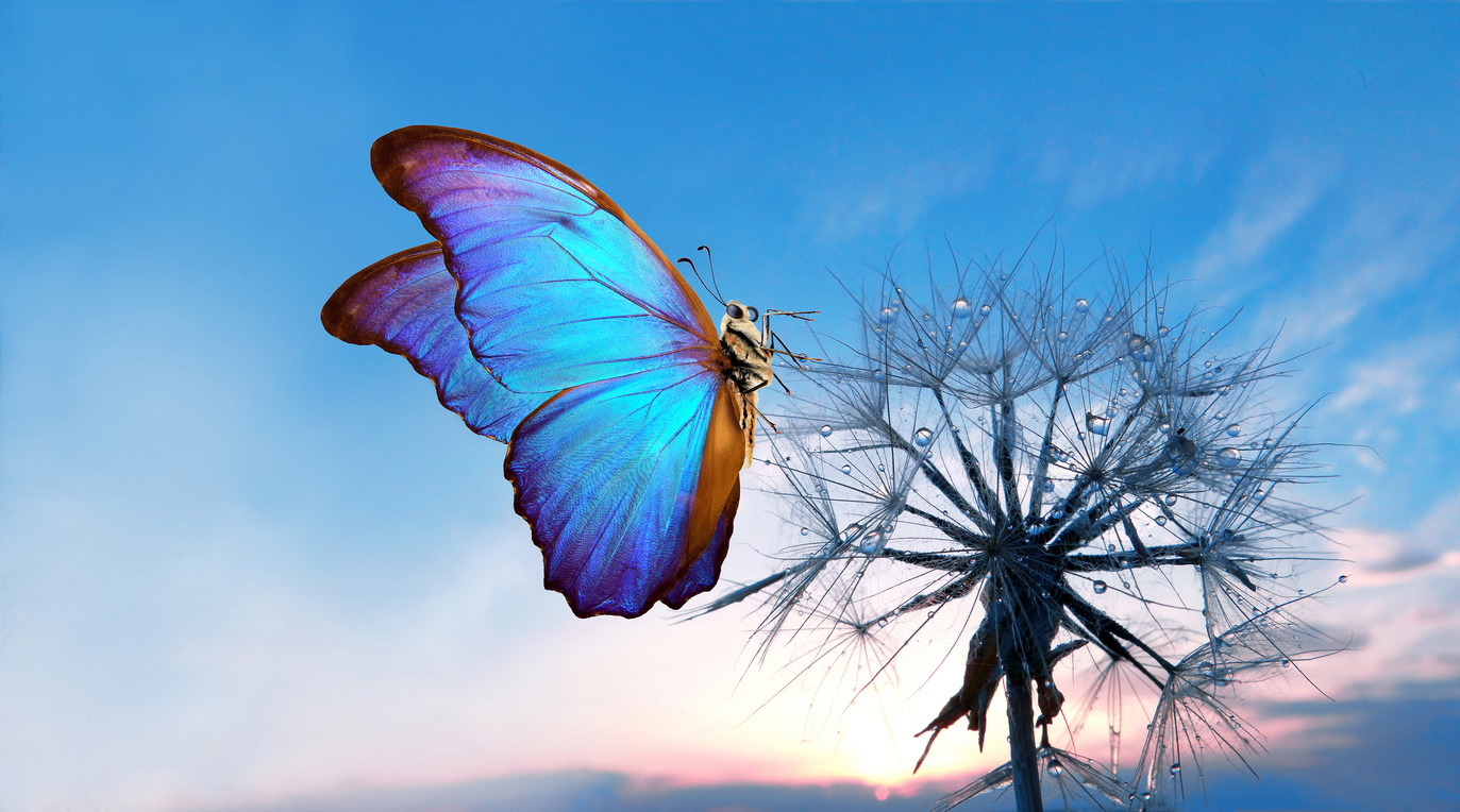 Featured Image